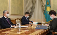 Глава государства принял председателя Счетного комитета по контролю за исполнением республиканского бюджета Наталью Годунову
