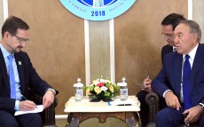 Нұрсұлтан Назарбаев Еуропадағы қауіпсіздік және ынтымақтастық ұйымының Бас хатшысы Томас Гремингермен кездесті