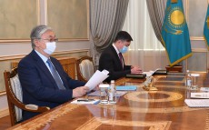 The President receives Chairman of Agency for Civil Service Affairs Anar Zhailganova
