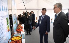 Президент Казахстана Касым-Жомарт Токаев посетил сервисно-заготовительный центр «Каратал-АГРО»