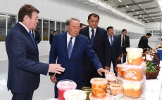 Елбасы «Карат» жауапкершілігі шектеулі серіктестігінің «Дәулет» жеке индустриялық аймағында болды