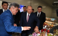 Қазақстан Президенті «Жайық Агро LTD» жауапкершілігі шектеулі серіктестігінің зауытына барды