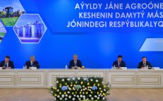Касым-Жомарт Токаев провел совещание по вопросам развития села и агропромышленного комплекса
